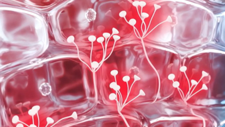 Imagem Tecnologia Inflastop™