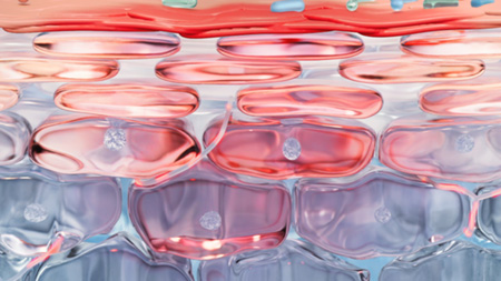 Tecnologia Patenteada* Rosactiv™ 2.0