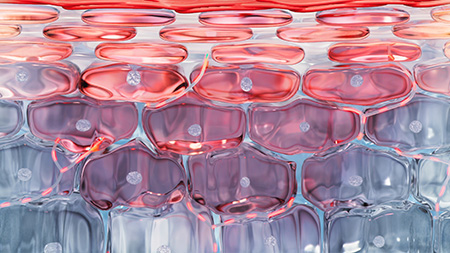 Imagem Patente Rosactiv™