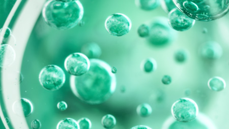 Imagem Tecnologia SeboResto