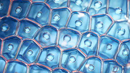 Skin Protect Complex