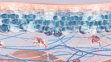 Imagem Patente Toleridine™