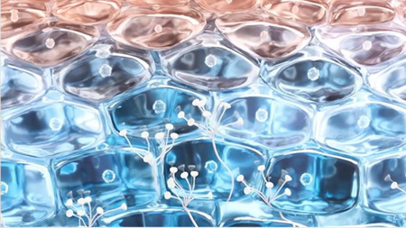 Imagem Tecnologia Antalgicine™