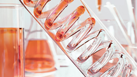 Imagem Complexo D.A.F.