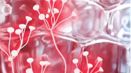 Imagem Tecnologia Defensive