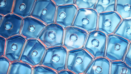 Imagem Complexo Optimal Repair