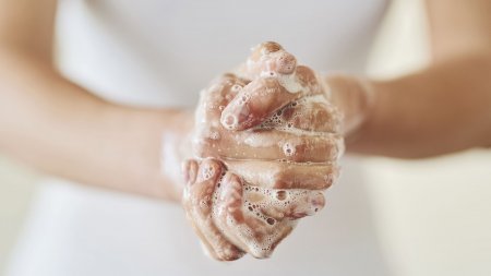 Eczema and hygiene