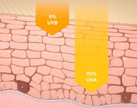 Graphical representation of the difference in penetration depth between UVB and UVA (+95%)